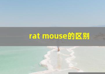 rat mouse的区别